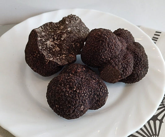 Trufa de invierno (Tuber melanosporum)